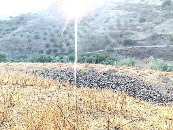 Terreno en carretera de Macharaviaya, El Lagar Alto s/n
