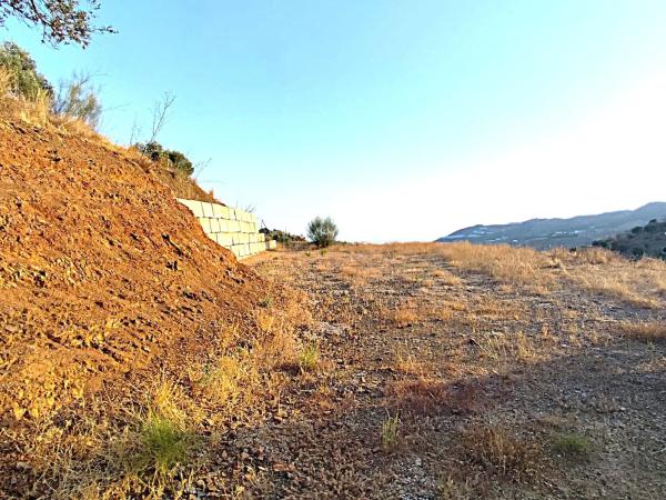 Terreno en carretera de Macharaviaya, El Lagar Alto s/n
