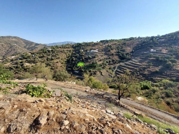 Terreno en Sayalonga