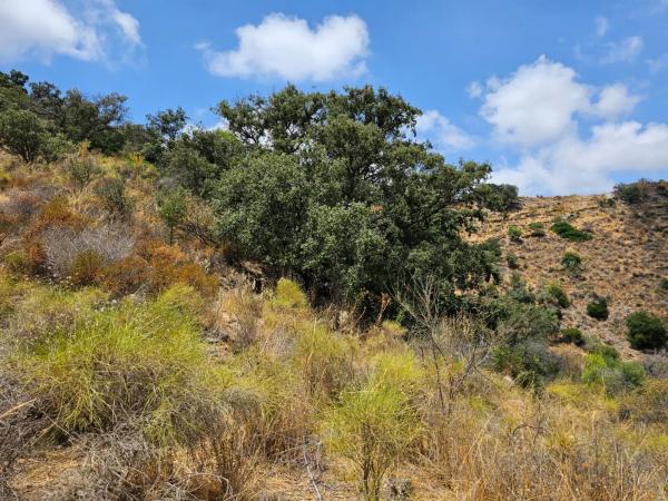 Terreno en Diseminado Diseminados