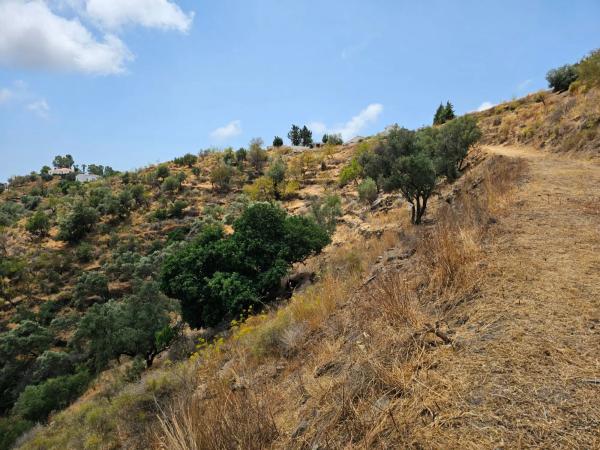 Terreno en Diseminado Diseminados