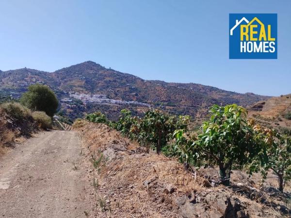 Terreno en Diseminado Diseminados