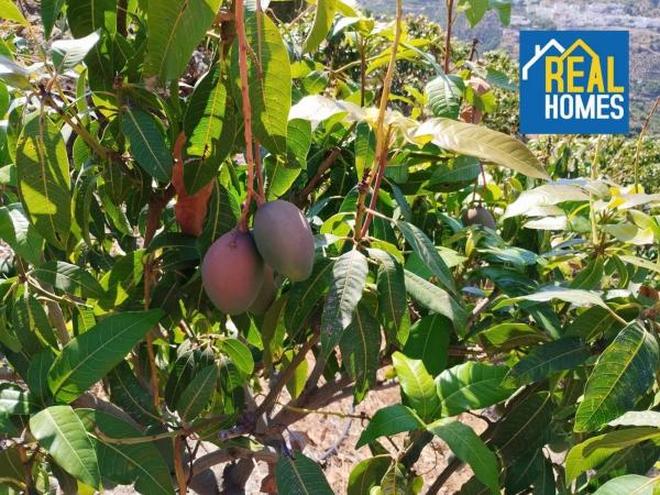 Terreno en Diseminado Diseminados