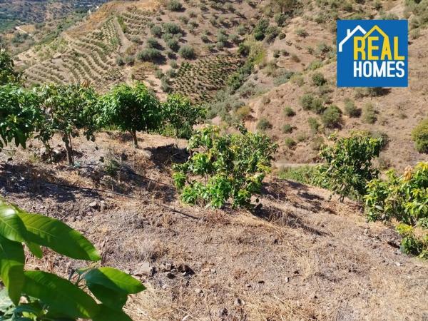 Terreno en Diseminado Diseminados