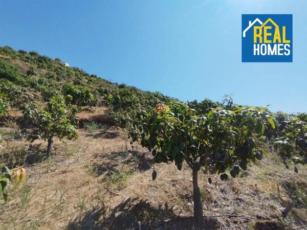 Terreno en Diseminado Diseminados