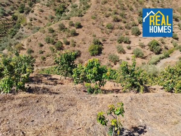 Terreno en Diseminado Diseminados