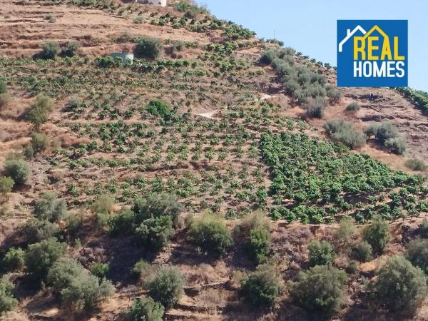 Terreno en Diseminado Diseminados