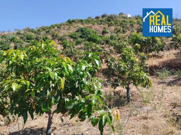 Terreno en Diseminado Diseminados