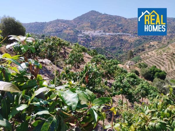 Terreno en Diseminado Diseminados