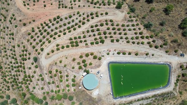 Terreno en Casa Mar Sedella Polígono 8