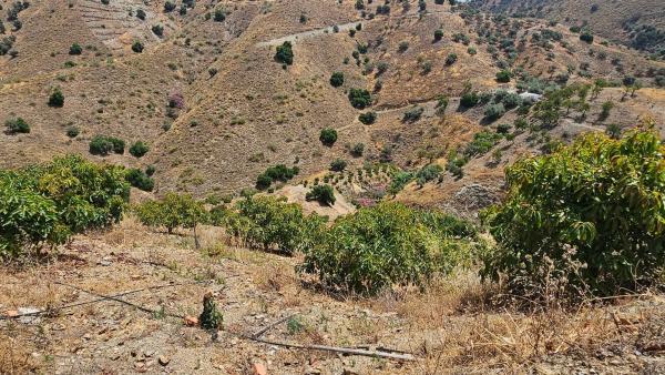 Terreno en Casa Mar Sedella Polígono 8