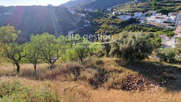 Terreno en calle la Era