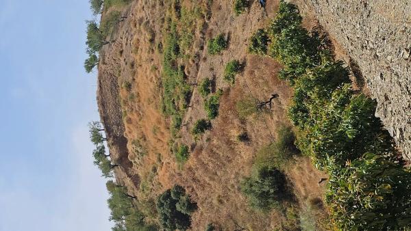 Terreno en Casa Mar Sedella Polígono 8