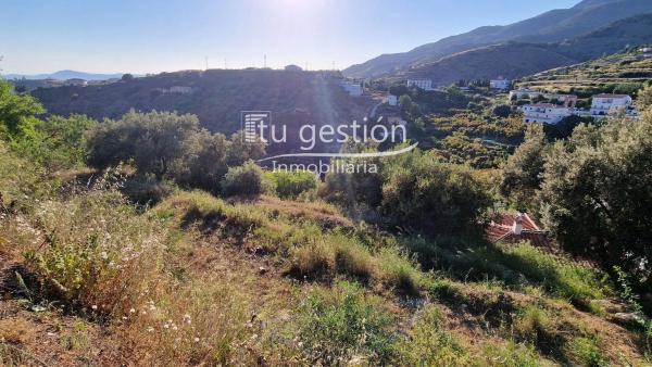 Terreno en calle la Era