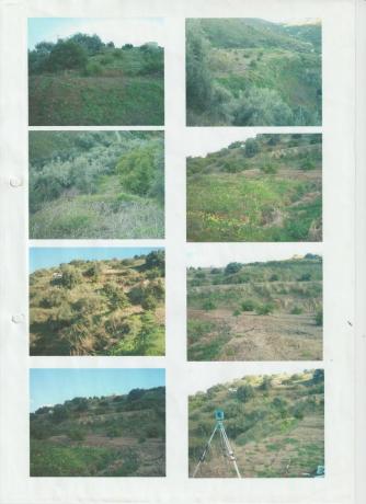 Terreno en el lazo poligono 1 parcela, 894