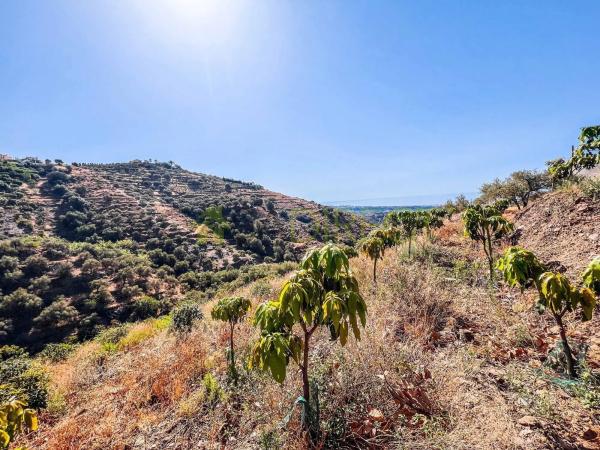 Terreno en Torrox Pueblo
