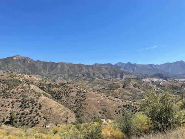 Terreno en La Palmera s/n