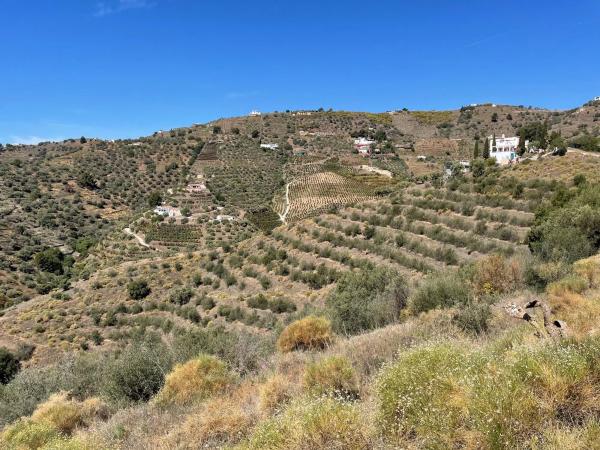 Terreno en La Palmera s/n