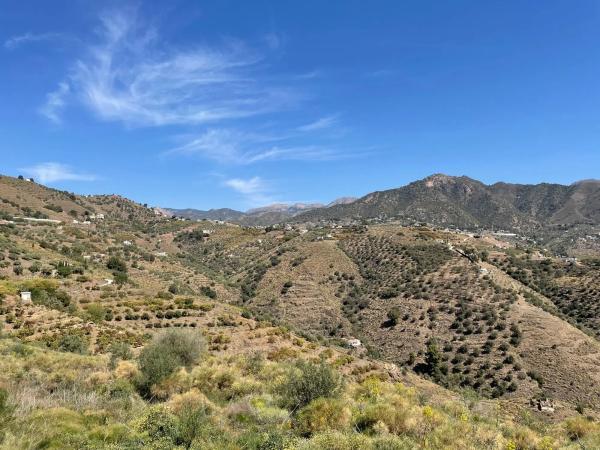 Terreno en La Palmera s/n