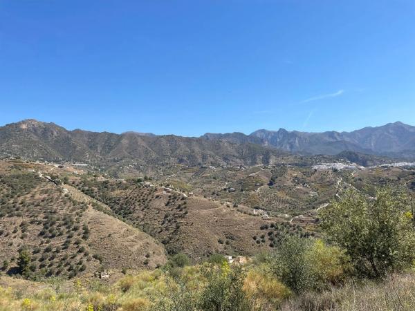 Terreno en La Palmera s/n