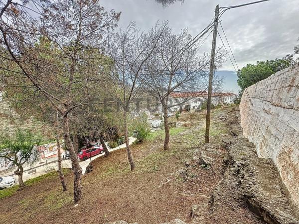 Terreno en calle Silva