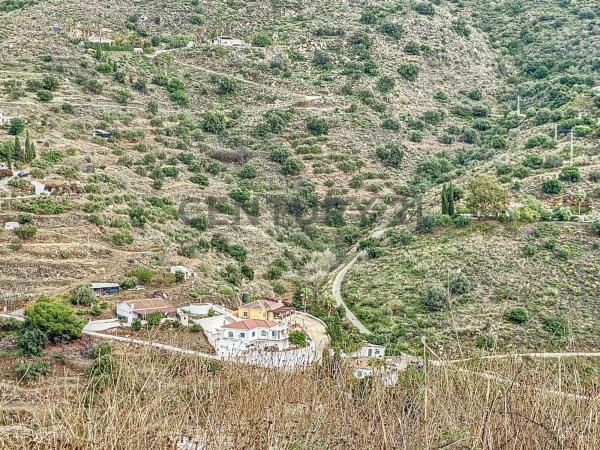 Terreno en calle Silva
