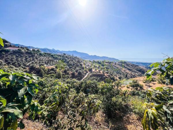 Terreno en Torrox Pueblo