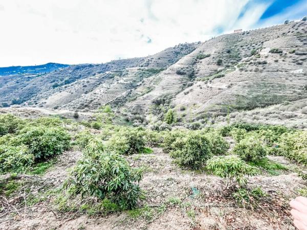 Terreno en Torrox Pueblo