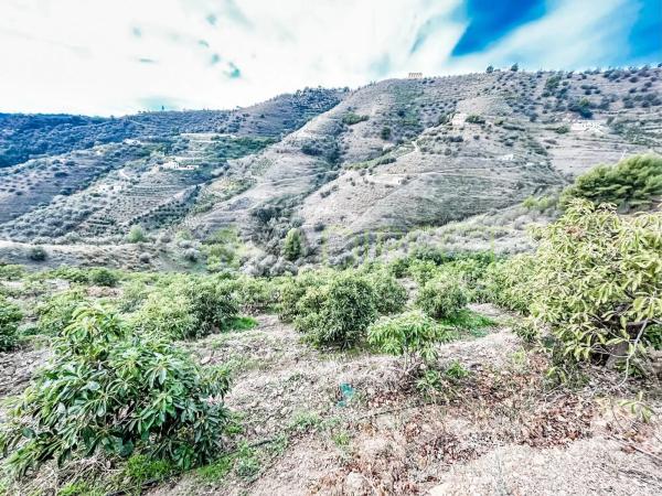 Terreno en Torrox Pueblo