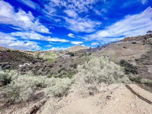 Terreno en calle Frigiliana