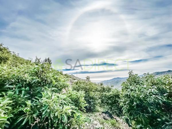 Terreno en Torrox Pueblo