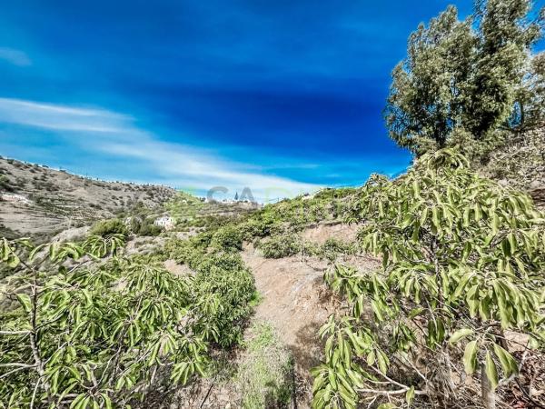 Terreno en Torrox Pueblo