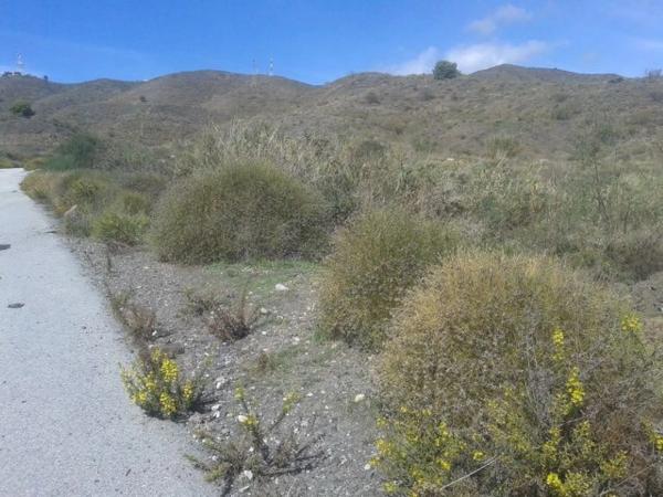 Terreno en Cs de Planeamiento Urp-6, 8