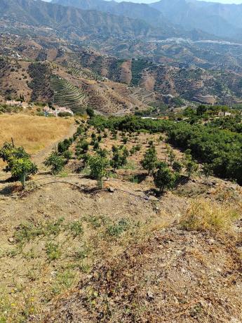 Terreno en pago benamar s/n