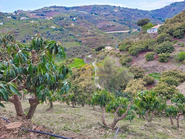 Terreno en Torrox Pueblo
