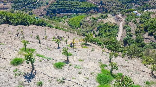 Terreno en Torrox Pueblo