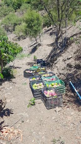 Terreno en Torrox Pueblo