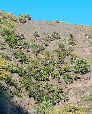 Terreno en Torrox Pueblo