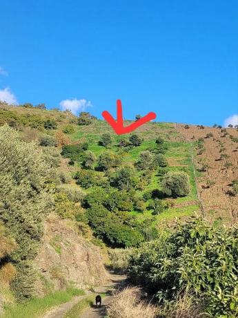 Terreno en Torrox Pueblo