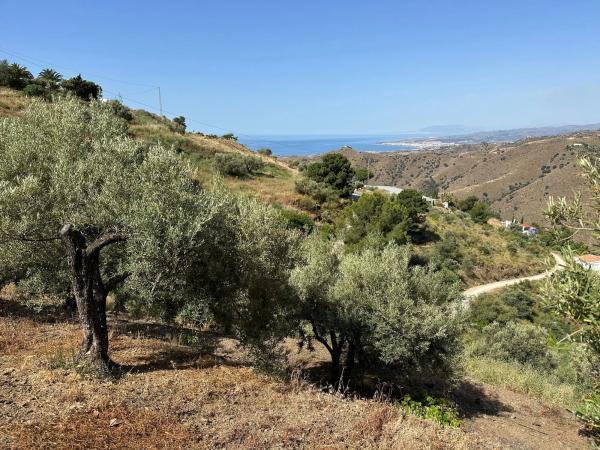 Terreno en Diseminado Pago Montealegre