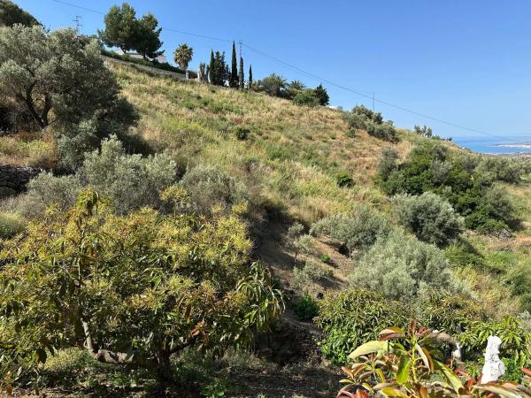 Terreno en Diseminado Pago Montealegre