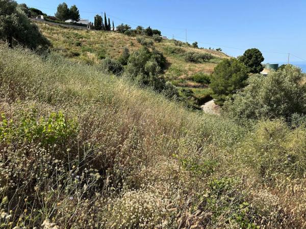 Terreno en Diseminado Pago Montealegre