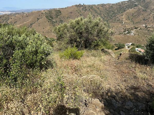 Terreno en Diseminado Pago Montealegre