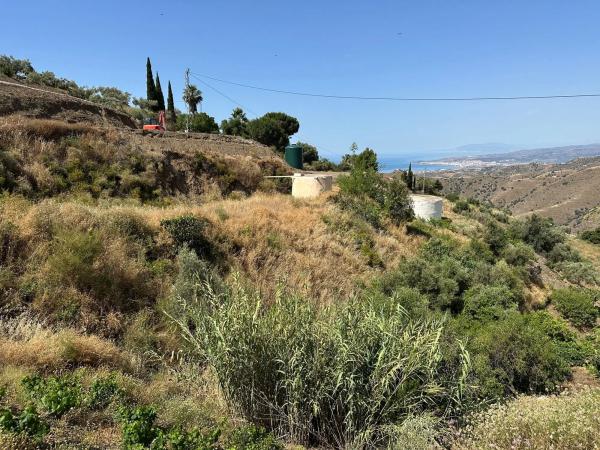 Terreno en Diseminado Pago Montealegre