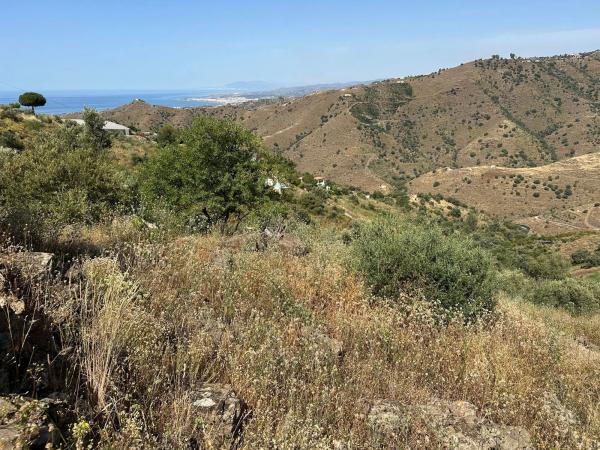 Terreno en Diseminado Pago Montealegre