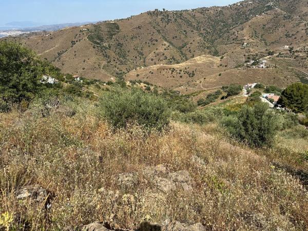 Terreno en Diseminado Pago Montealegre