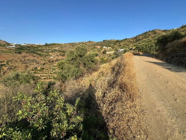 Terreno en Diseminado Pago Montealegre, 2636