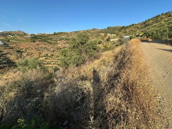 Terreno en Diseminado Pago Montealegre, 2636