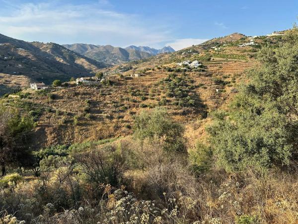 Terreno en Diseminado Pago Montealegre, 2636