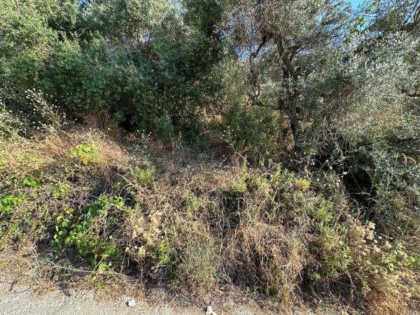 Terreno en Diseminado Pago Montealegre, 939